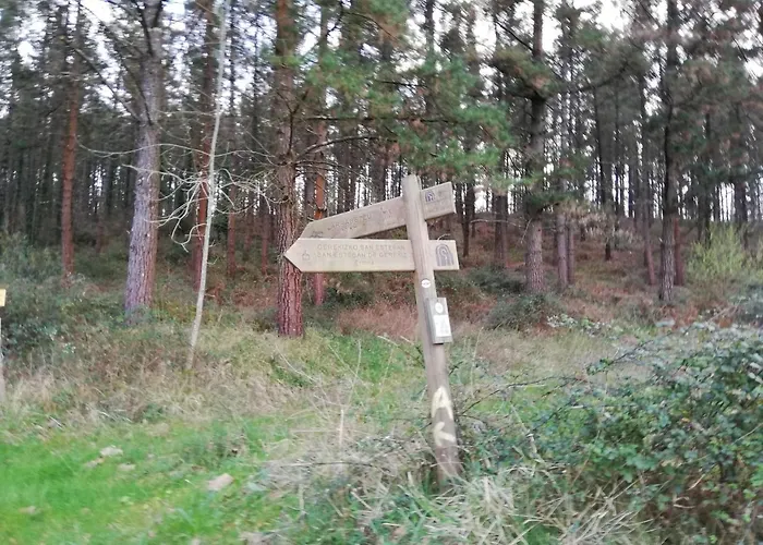 De Peregrinos Gerekiz Morga