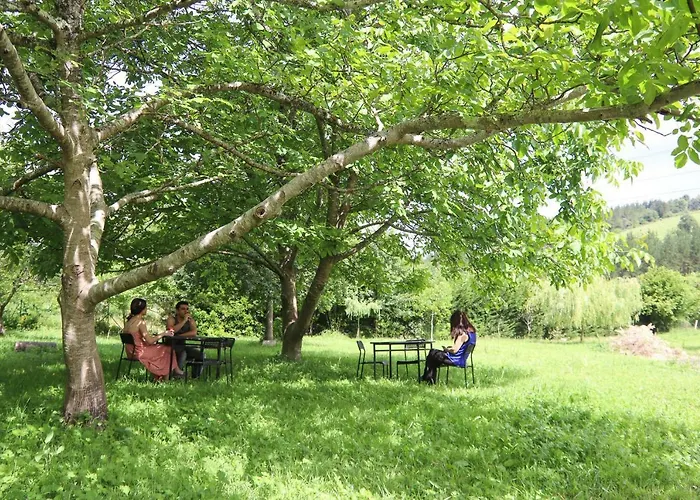 De Peregrinos Gerekiz