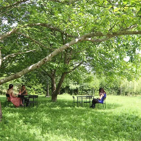 De Peregrinos Gerekiz