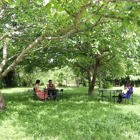 Vandrarhem De Peregrinos Gerekiz *