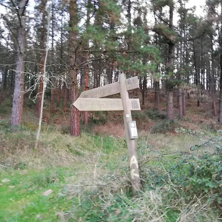 De Peregrinos Gerekiz Morga